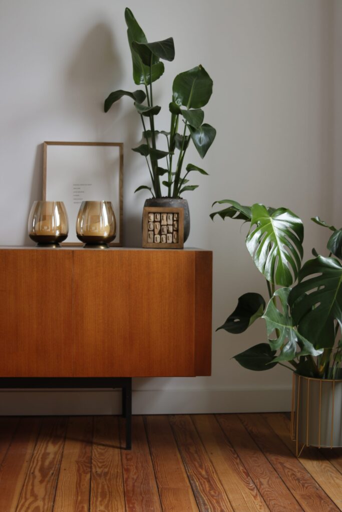 Wohnzimmer Sideboard Pflanzen